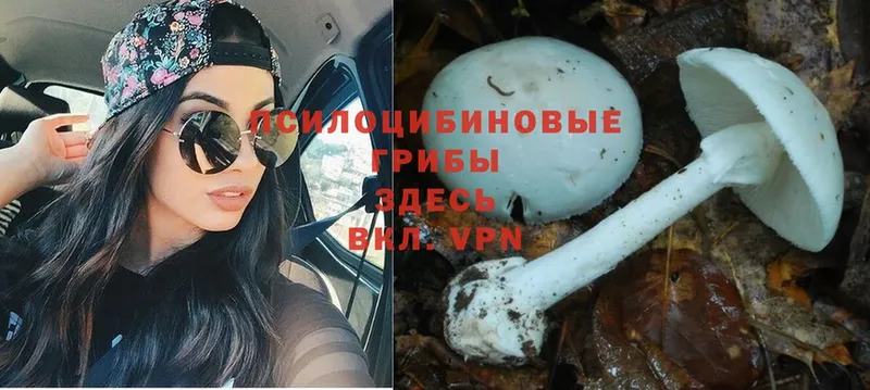 Псилоцибиновые грибы Magic Shrooms  Фёдоровский 